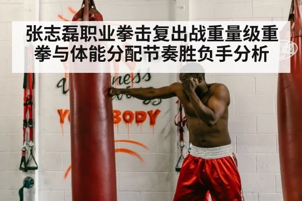 boxer punching heavy bag